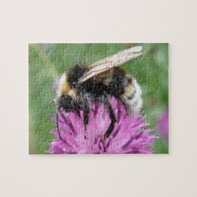 Bumblebee on a Thistle Puzzle (Horizontal)