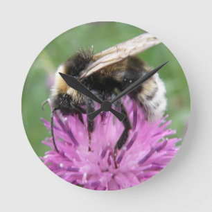 Bumblebee on a Thistle Wall Clock