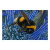 Bumblebee on Blue Thistle