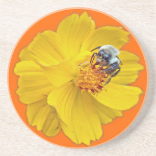 Bumblebee on Cosmos Coaster