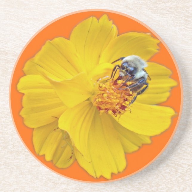 Bumblebee on Cosmos Coaster (Front)