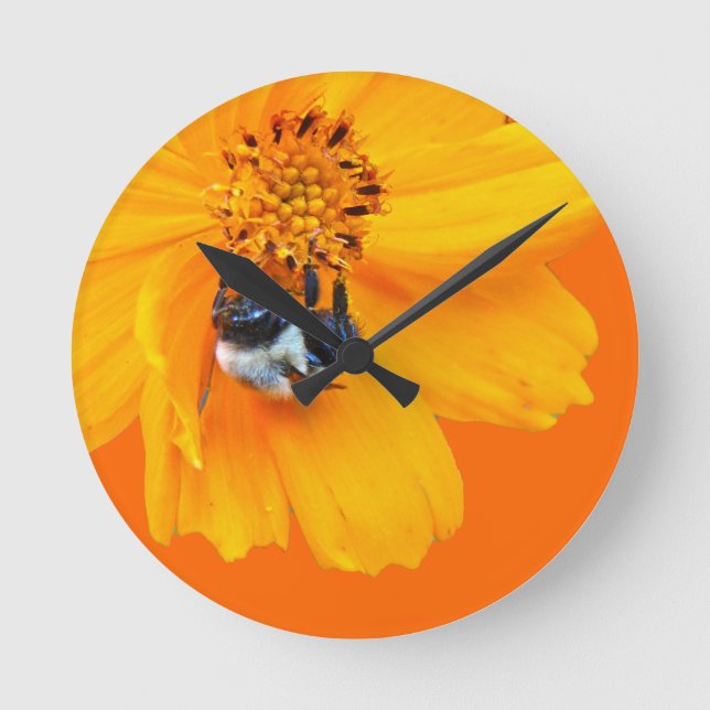 Bumblebee on Cosmos Round Clock (Front)