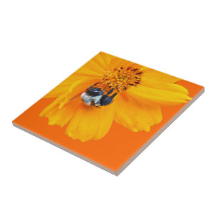 Bumblebee on Cosmos Tile