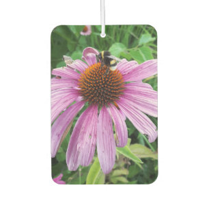 Bumblebee on Eastern purple Coneflower Car Air Freshener
