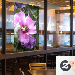 Bumblebee on Hibiscus Flower