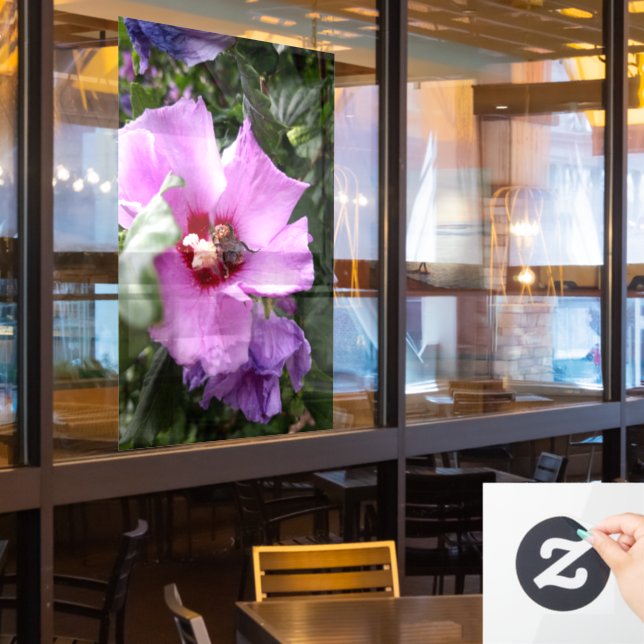 Bumblebee on Hibiscus Flower (Restaurant Window)