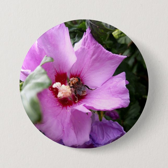 Bumblebee on Hibiscus Flower 7.5 Cm Round Badge (Front)