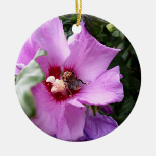 Bumblebee on Hibiscus Flower Ceramic Ornament