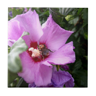 Bumblebee on Hibiscus Flower Ceramic Tile