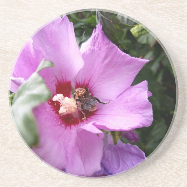 Bumblebee on Hibiscus Flower Coaster (Front)
