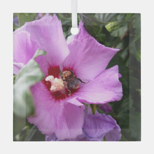 Bumblebee on Hibiscus Flower Glass Tree Decoration