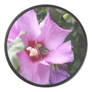 Bumblebee on Hibiscus Flower Hockey Puck