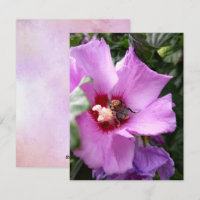 Bumblebee on Hibiscus Flower