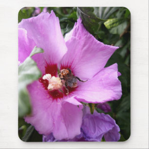 Bumblebee on Hibiscus Flower Mouse Pad