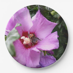 Bumblebee on Hibiscus Flower Paper Plate