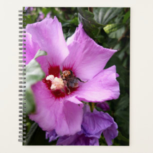 Bumblebee on Hibiscus Flower Planner