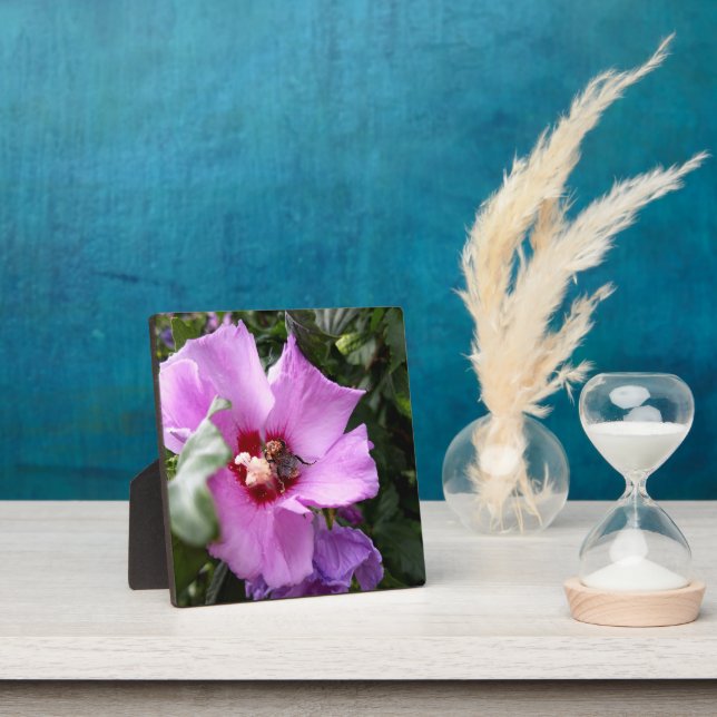 Bumblebee on Hibiscus Flower Plaque (Insitu)