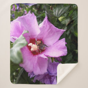 Bumblebee on Hibiscus Flower Sherpa Blanket