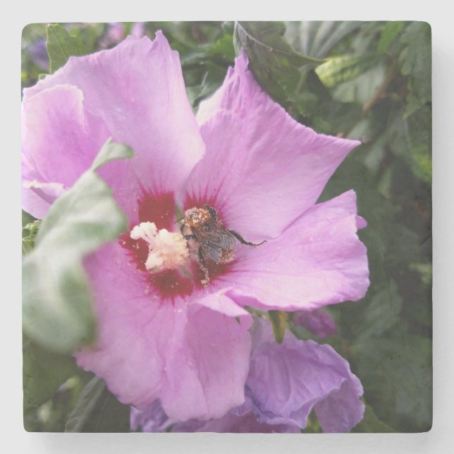 Bumblebee on Hibiscus Flower Stone Coaster (Front)