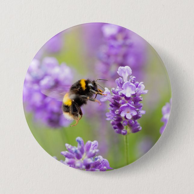 Bumblebee On Lavender  7.5 Cm Round Badge (Front)