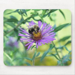 Bumblebee on Purple Daisy Mouse Pad