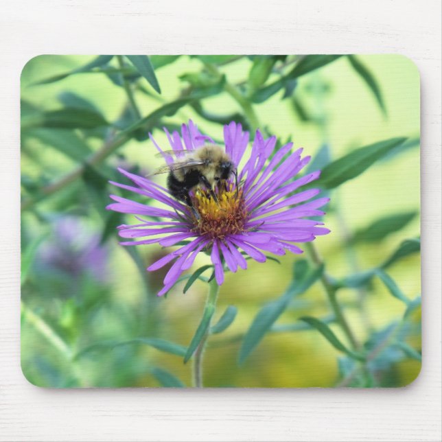 Bumblebee on Purple Daisy Mouse Pad (Front)