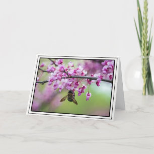 Bumblebee on Redbud Blossoms Card