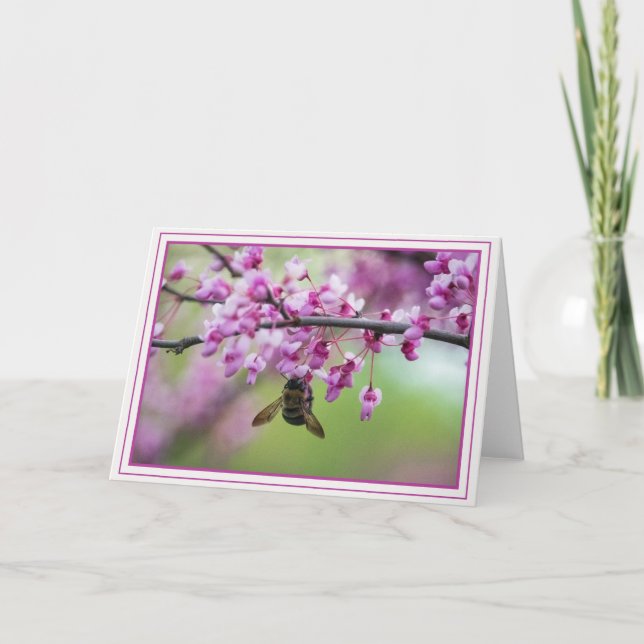 Bumblebee on Redbud Blossoms Card (Front)