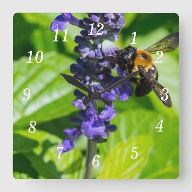Bumblebee On Salvia Wall Clock (Front)