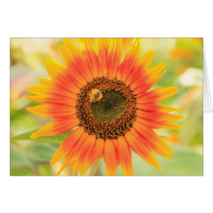 Bumblebee on sunflower, Community Garden