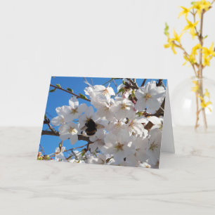 Bumblebee on wild cherry bloom card