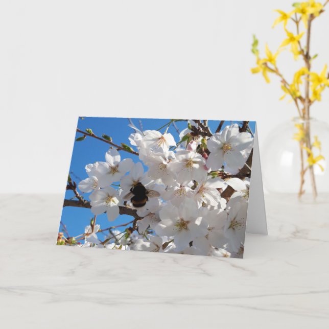 Bumblebee on wild cherry bloom card (Yellow Flower)