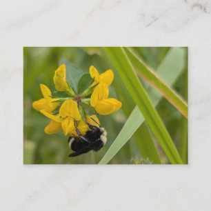 Bumblebee on Yellow Wildflower Business Card