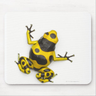 Bumblebee Poison Dart Frog Mouse Pad