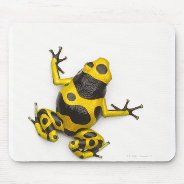 Bumblebee Poison Dart Frog Mouse Pad (Front)