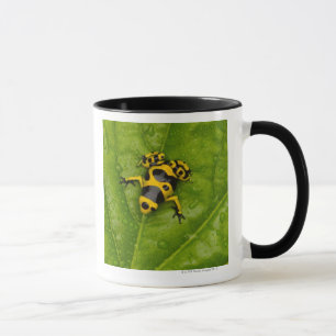 Bumblebee Poison Dart Frog Mug