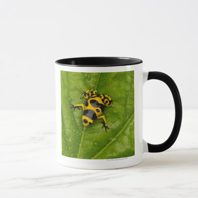 Bumblebee Poison Dart Frog Mug (Right)