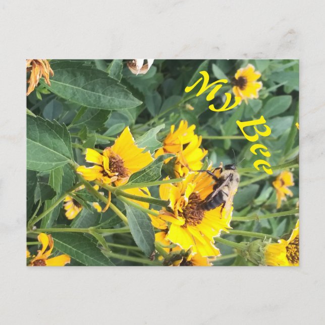 Bumblebee Pollinating a Yellow Flower Invitation Postcard (Front)