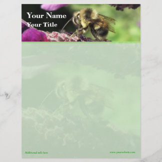 Bumblebee Top Border Letterhead Design