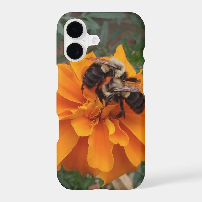 Bumblebees on Marigold Flower (Back)