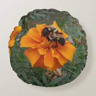 Bumblebees on Marigold Flower Round Cushion