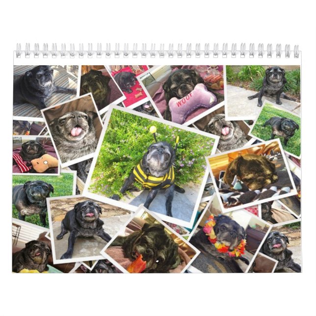 Bumblesnot 2014 Calendar (Cover)