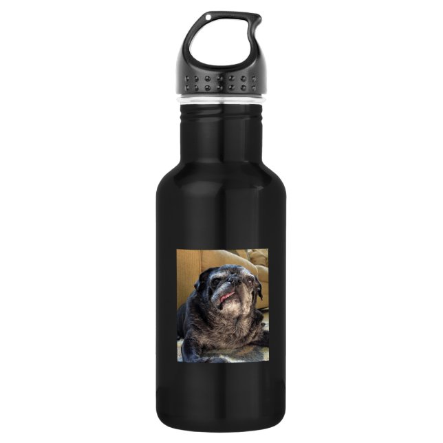 Bumblesnot 532 Ml Water Bottle (Front)