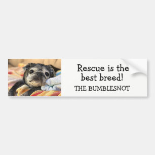 Bumblesnot bumper sticker: Rescue is best breed! Bumper Sticker