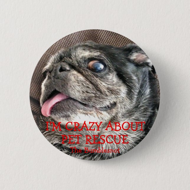 Bumblesnot button: Crazy About Pet Rescue 6 Cm Round Badge (Front)