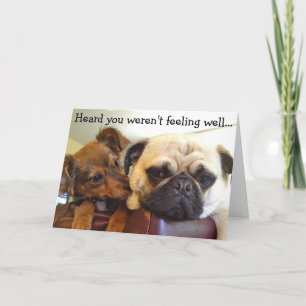 Bumblesnot card: Heard you learned t feeling well Card