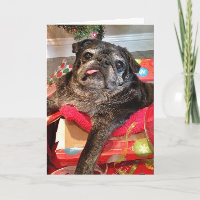 Bumblesnot Christmas card (Front)