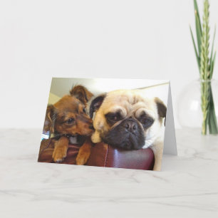 Bumblesnot greeting card: I'm here if you need me Card