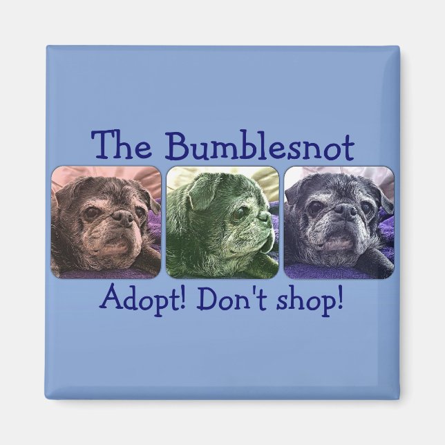 Bumblesnot magnet:  Colour Me Bumble Magnet (Front)