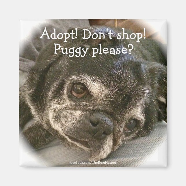 Bumblesnot magnet: Puggy Please? Magnet (Front)
